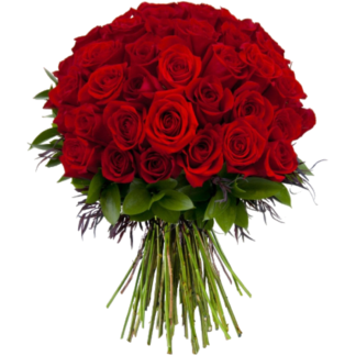 51 red roses | Flower Delivery Zelenograd